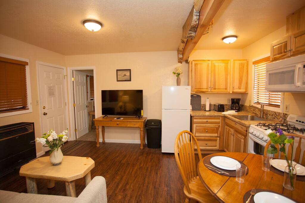 Main living area and kitchen