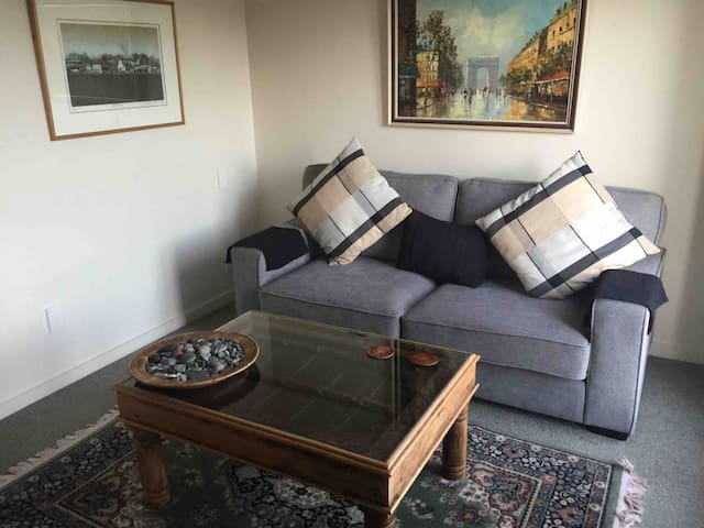 Spacious Studio Apartment