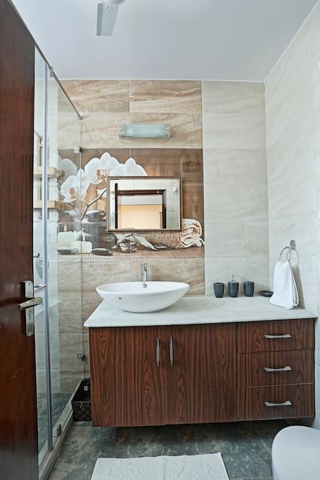 Private Bathroom in a Suite