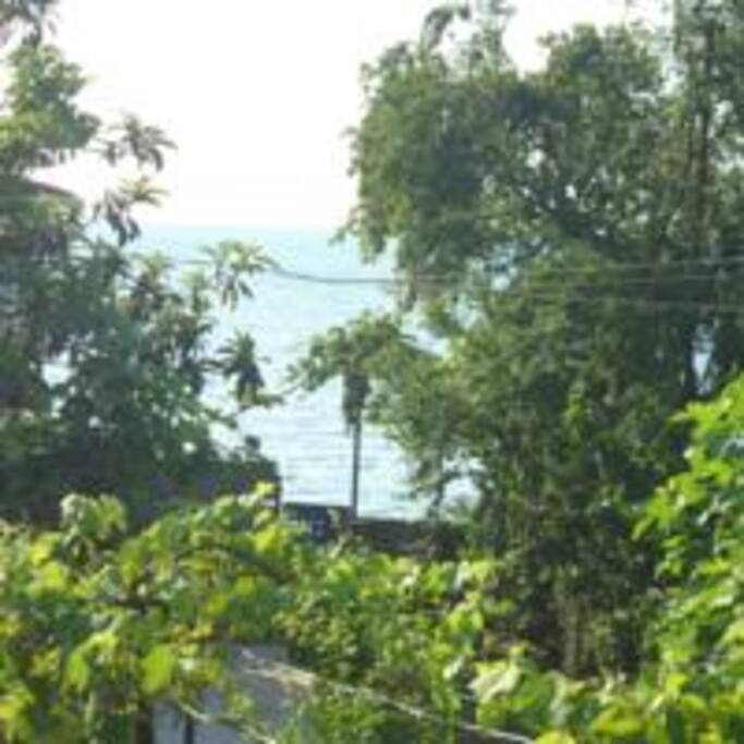 Море из окна