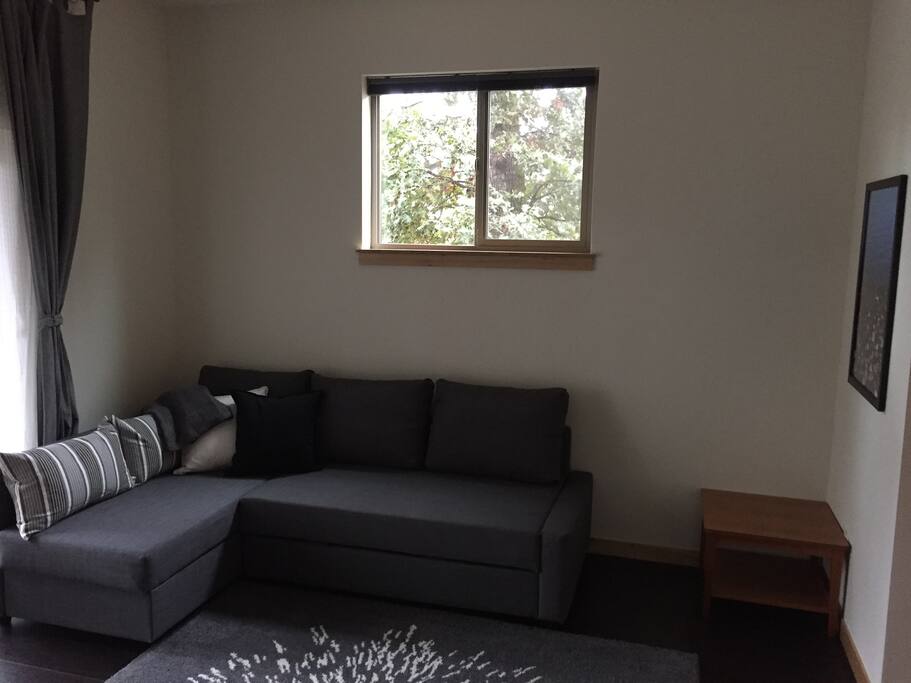 sofa and coffe table