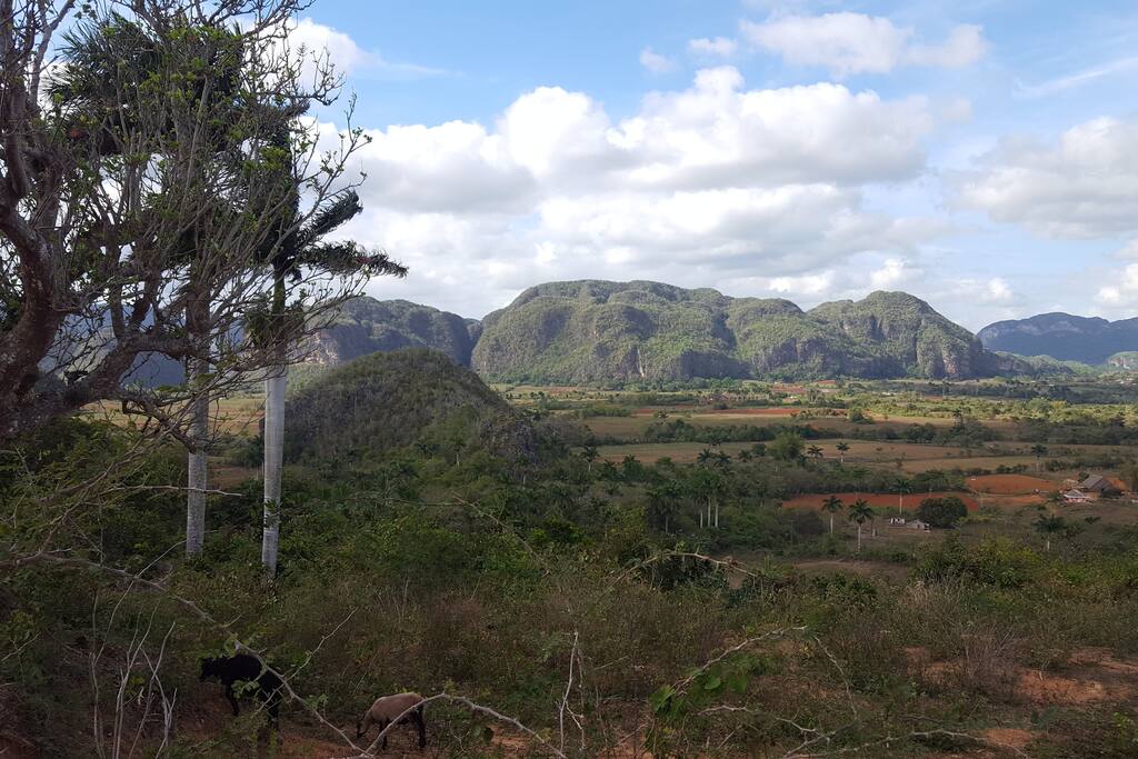Vista panoramica