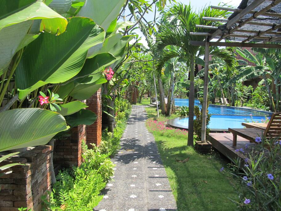 Entrance Path