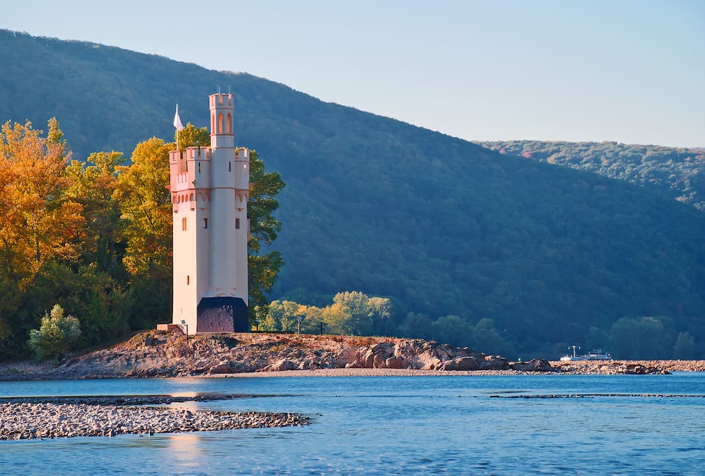 Ferienwohnung am Rheinufer – Binger Mäuseturm
