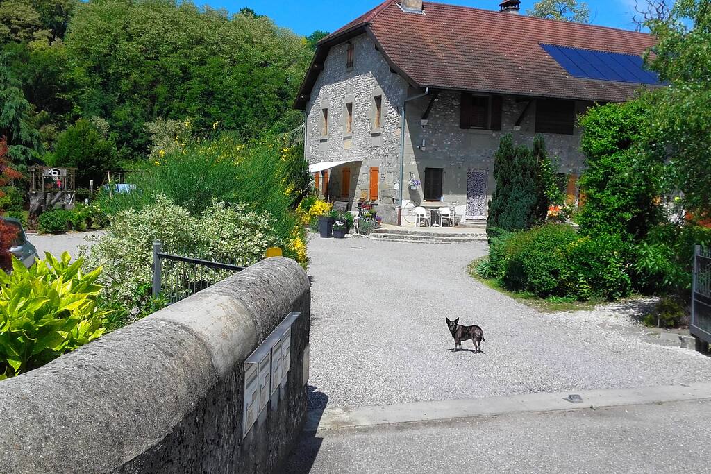 l'entrée