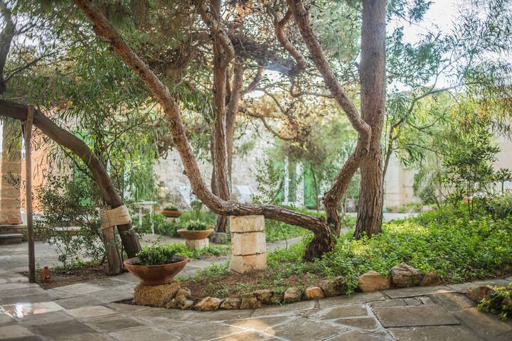 Beachfront Villa & Villa piccola immerse nel verde gallery image 3