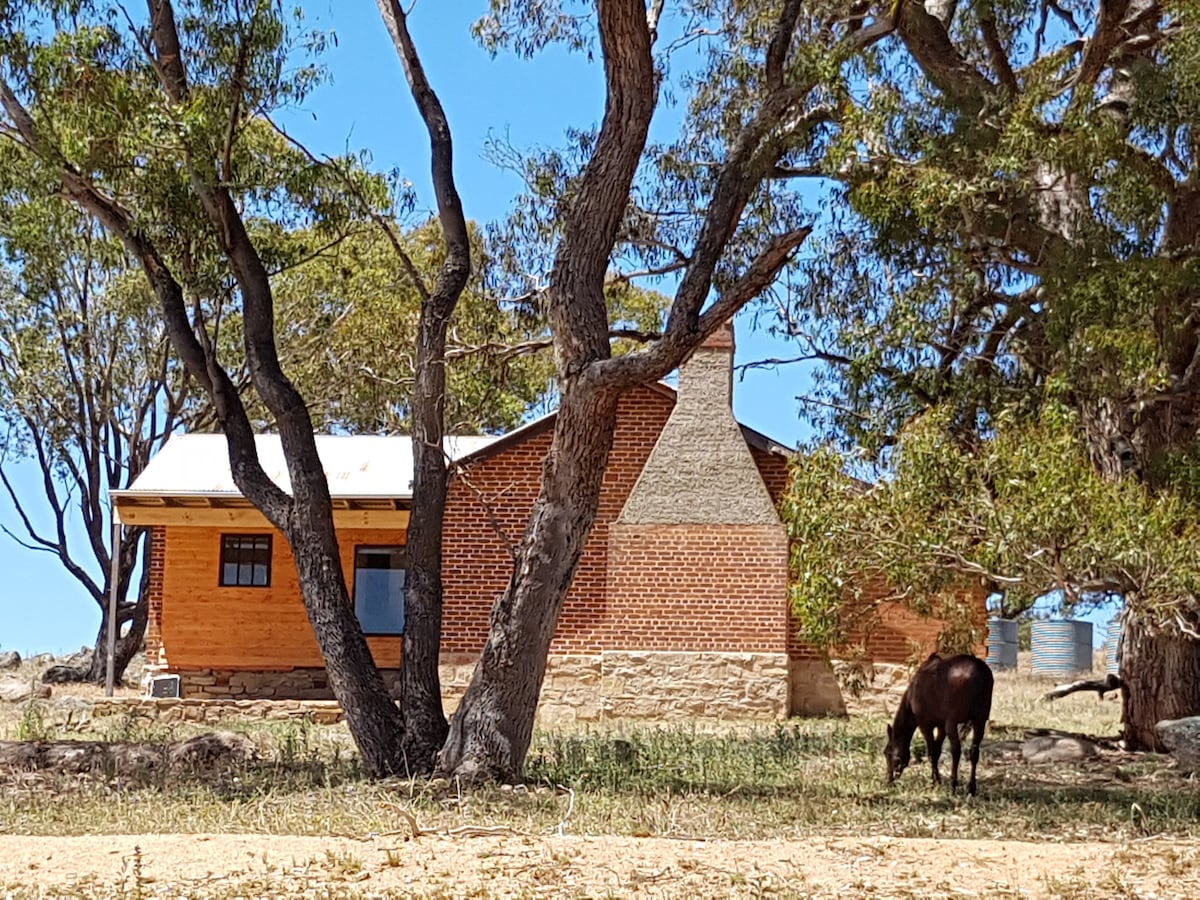 A rustic cottage, constructed with exposed bricks and wooden accents, is nestled among spacious trees. A grassy area surrounds the building, while a grazing horse is seen nearby, contributing to the tranquil rural setting.
