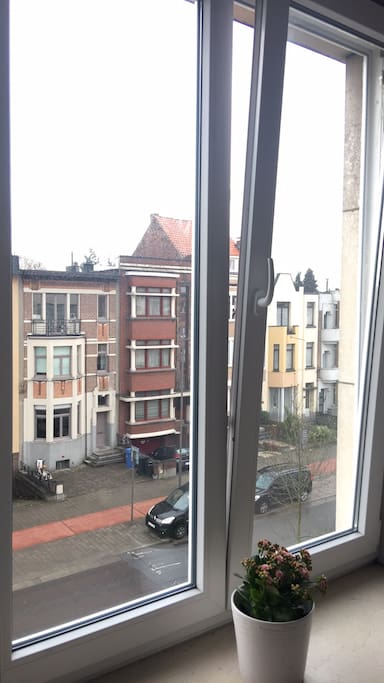 Guest room window