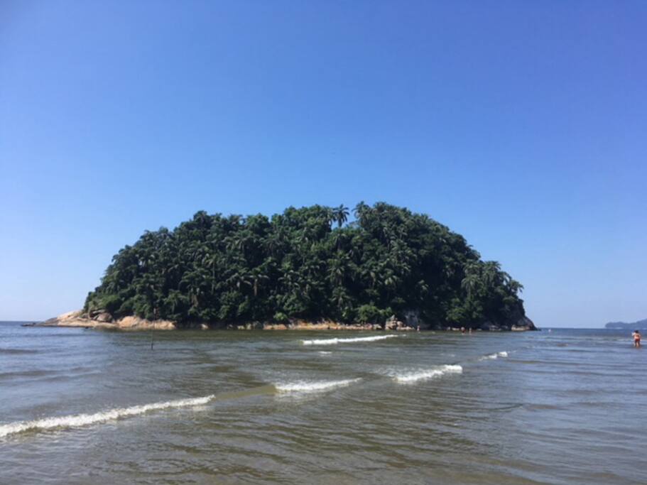 Da sua sacada...Ilha Urubuqueçaba!!! Belo visual!!