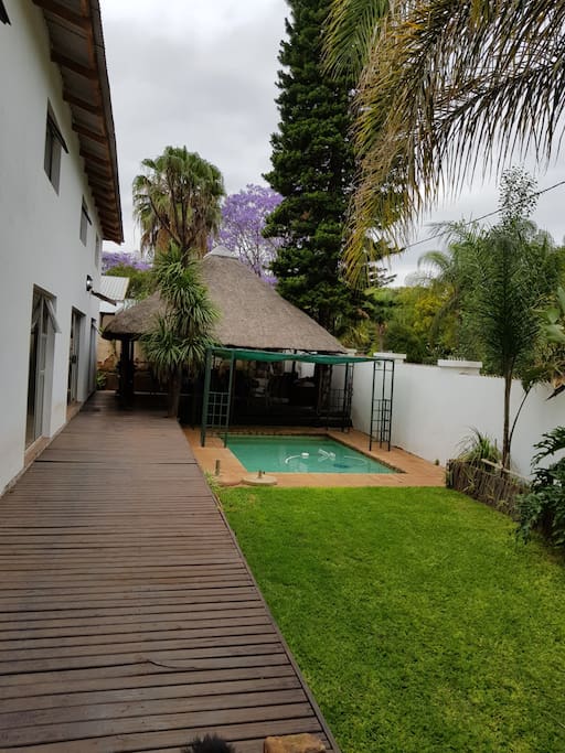 Swimming pool and garden