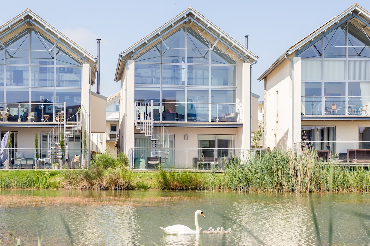 Three modern lodges are visible by the lakeside, characterized by large glass windows that reflect the serene waters. Grassy areas frame the lodges, with a swan and cygnets gently gliding on the calm lake, enhancing the natural setting.