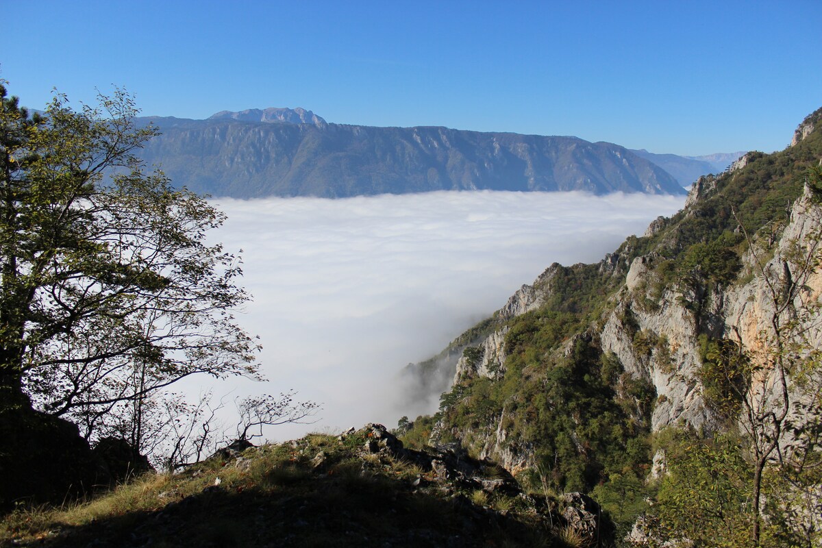 A breathtaking view of mountainous terrain is presented, with lush greenery on the slopes and a thick layer of clouds enveloping the valley below. Clear blue skies stretch above the peaks, creating a serene and tranquil atmosphere across the landscape.