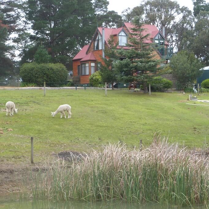 View of private Studio cottage