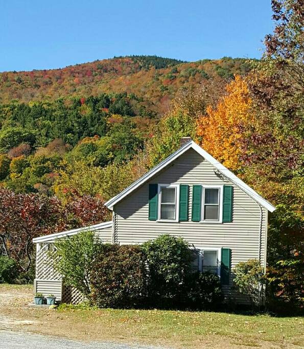 Beautiful fall colors behind our cottage.
