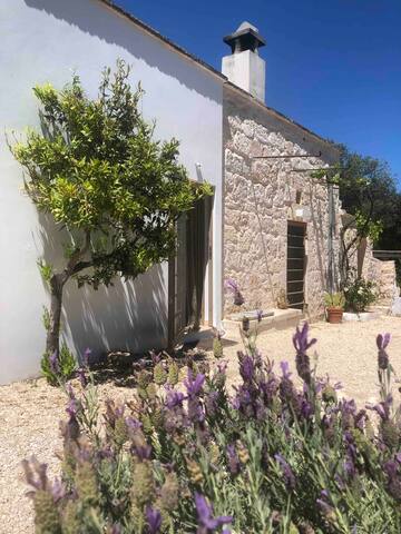Casa Terra – Trullo Ostuni gallery image 2
