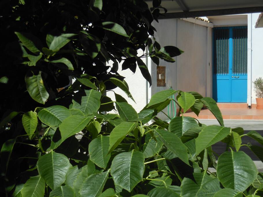 ingresso esterno