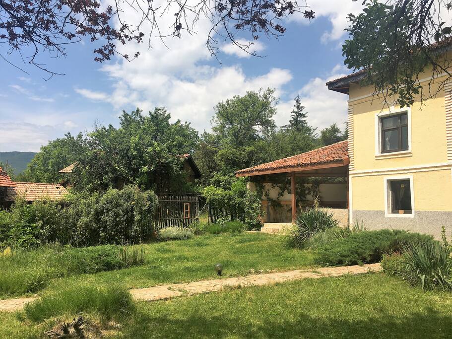 the house with yard