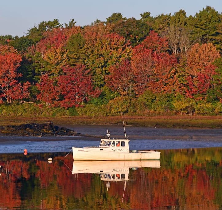 The foliage is beautiful in Kennebunk come enjoy