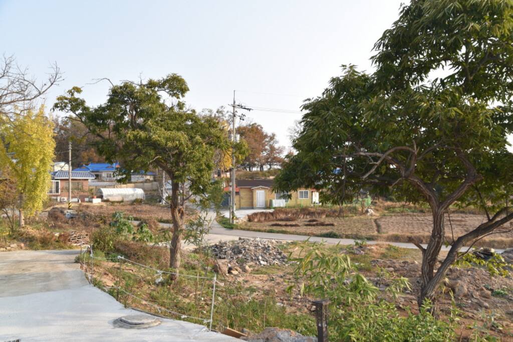 집 앞 전경; Landscape from the House