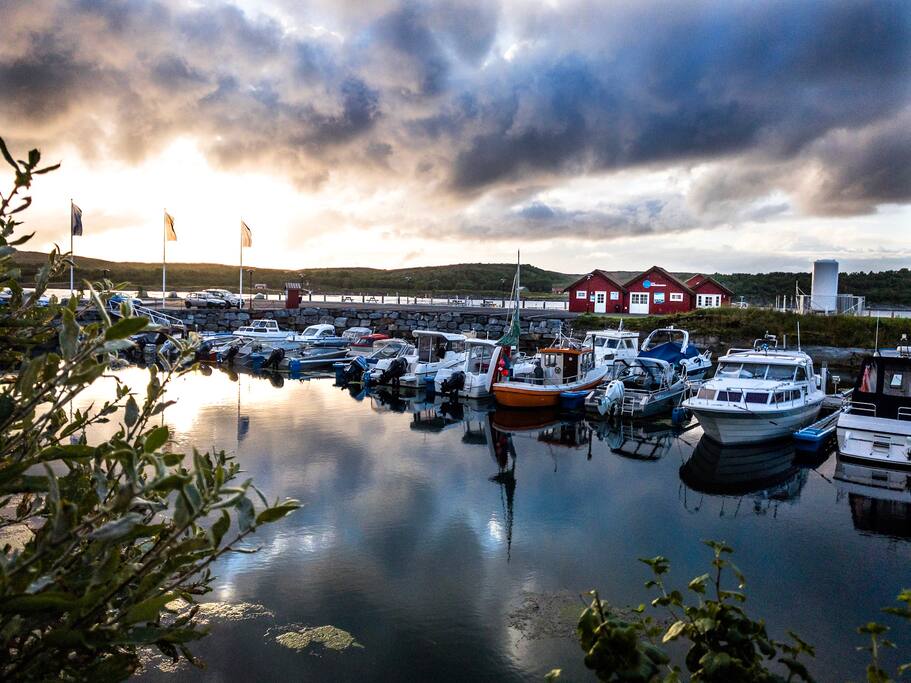 Utsikt mot rorbuenes plassering, fra nordøst