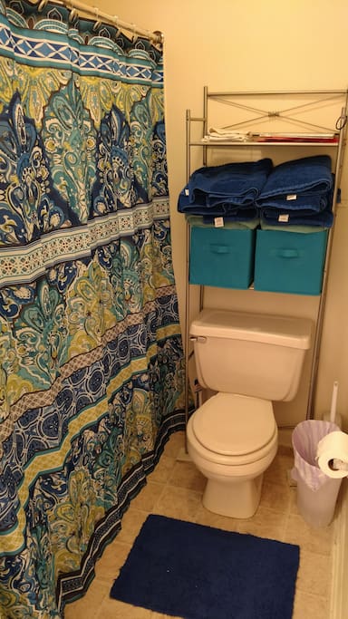 Bathroom- towels and TP included!