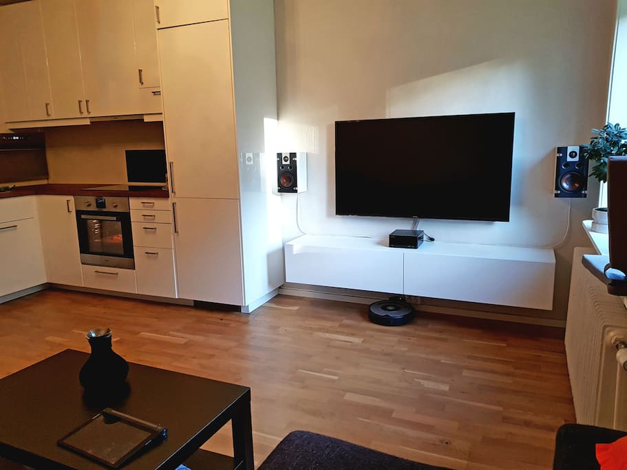 Kitchen / Livingroom