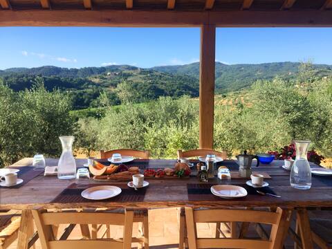 Villa near Florence: Pool, View, AC, Vast garden