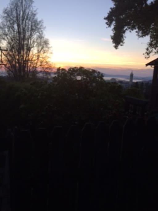 View from top of steps w UC Campanile in back right