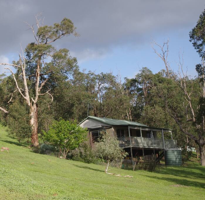 The cabin