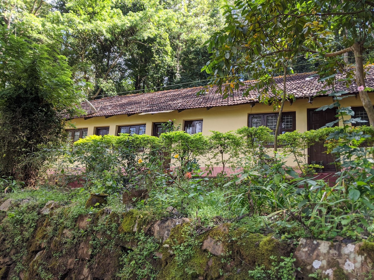 A charming yellow house is nestled among dense greenery, surrounded by a well-maintained garden and a stone wall. The roof features rustic tiles, and several windows are framed by lush foliage, creating a serene and inviting setting.