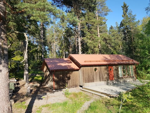 Maja saunaga