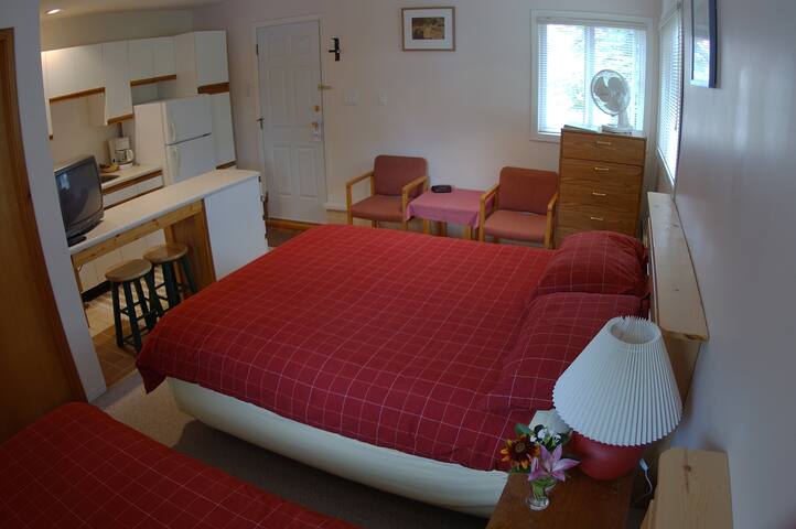 Glacier View Cabin Queen Bed Cottages For Rent In New Denver