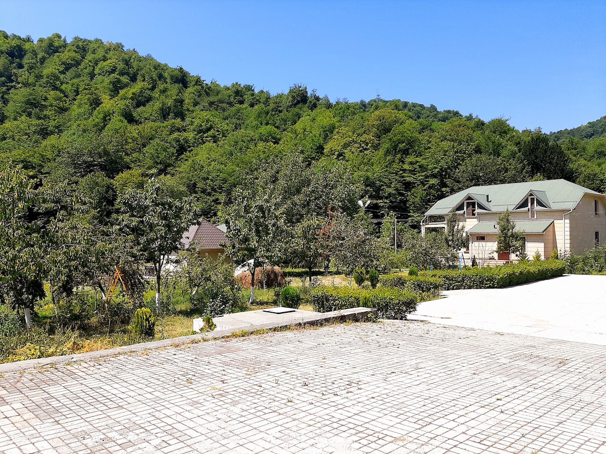 A spacious outdoor area is surrounded by lush greenery and trees. Two buildings are visible, with one featuring a sloped roof and the other a more traditional design. A clear blue sky complements the serene landscape.