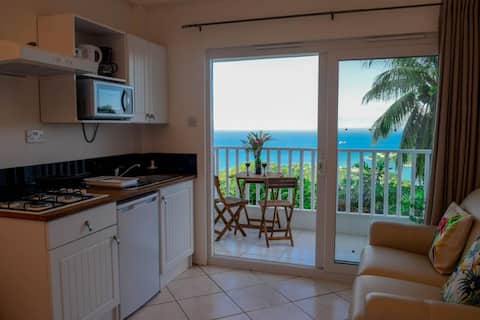 Dull Seaview Studio 5