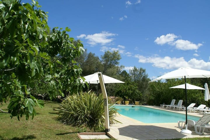 Charmante Maison En Pierre  U Caseddu Di L'alivu - Porto-Vecchio