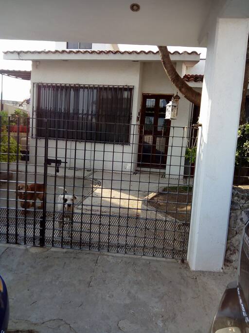 Entrada a casa,acompañado de 2 mascotas
