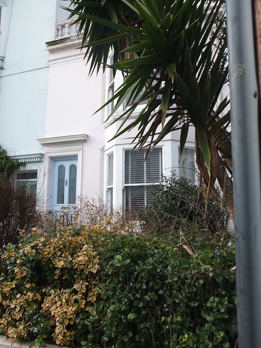 front of the house