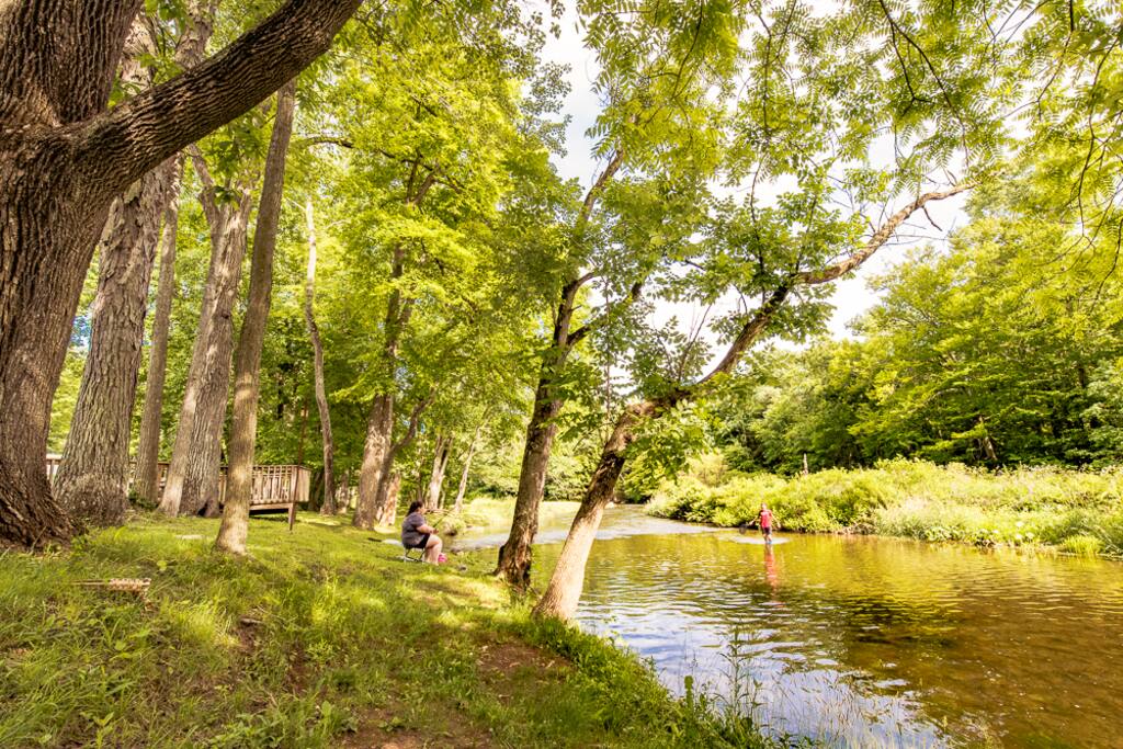 Stocked trout stream on the property