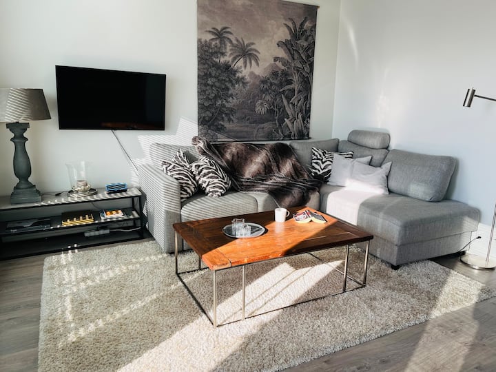 Modern comfortable central flat, terrace, sauna