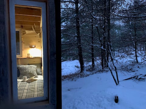 Wilderness Adventure Cabin, Unique Experience