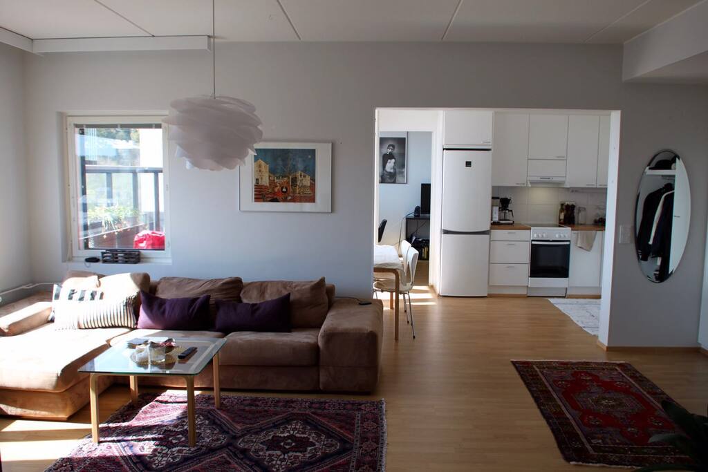 Living room and kitchen