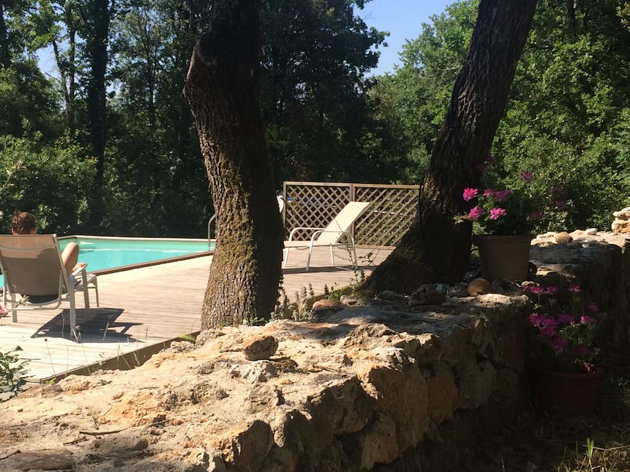 Piscina nel bosco