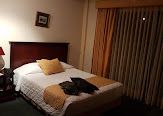 A cozy bedroom features a standard bed adorned with soft pillows and a blanket. Natural light filters through the floor-to-ceiling curtains, which add a warm touch. A bedside table is positioned beside the bed, contributing to the room's functionality.