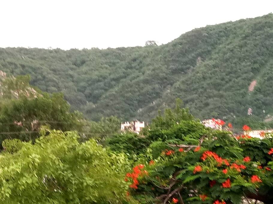 Scenic Aravali Mountains