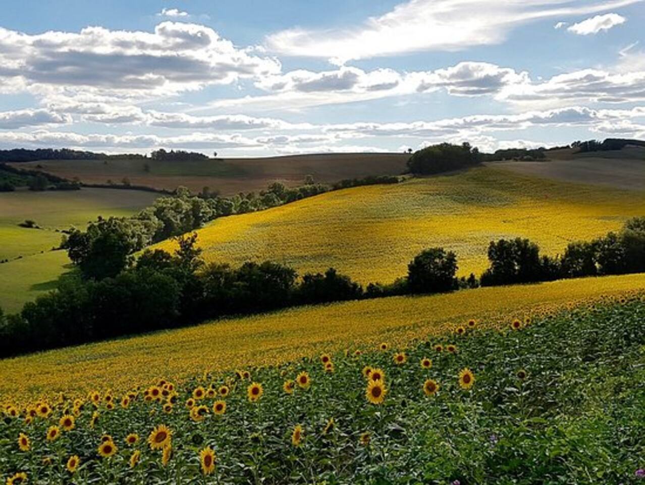 Charmant T2 Au Cœur Du Centre Historique D Auch Apartments For Rent In Auch