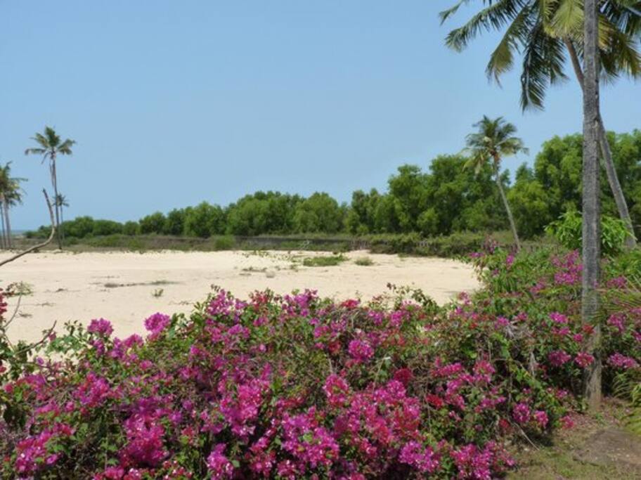 Beach shore