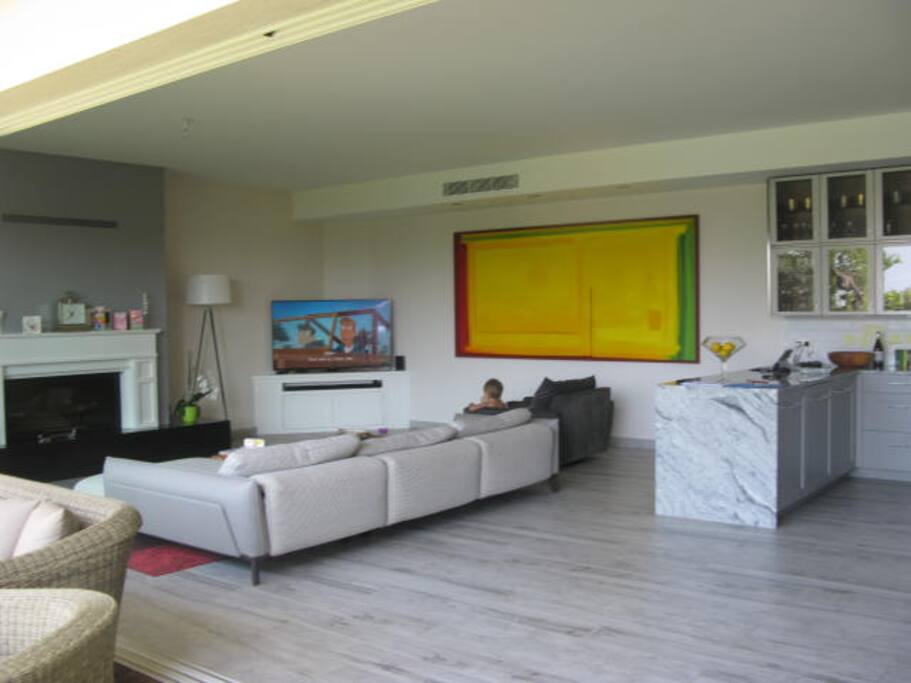 Living room, fireplace, Curved TV screen and decoder.