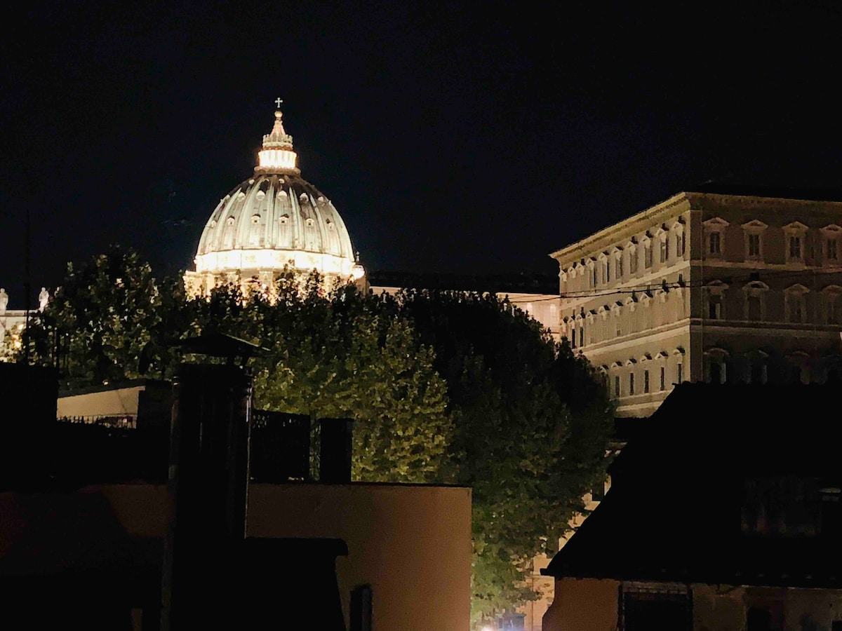 The image captures the illuminated dome of St. Peter's Basilica amidst the night sky. The architectural details of the basilica are highlighted, with trees in the foreground creating a natural frame. Nearby buildings are softly lit, contributing to the serene nighttime atmosphere.
