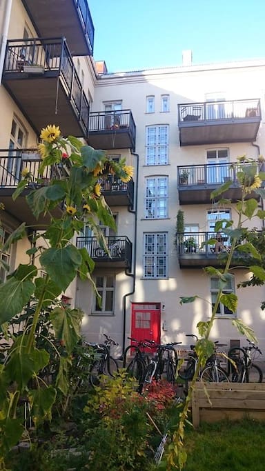 The building