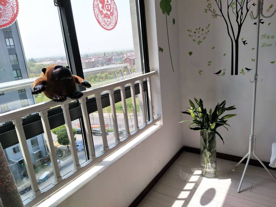 Fabulous window n sunshine n flower